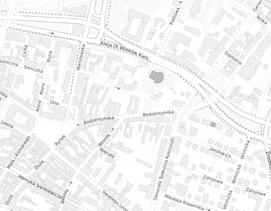 Mapa z adresem organizacji