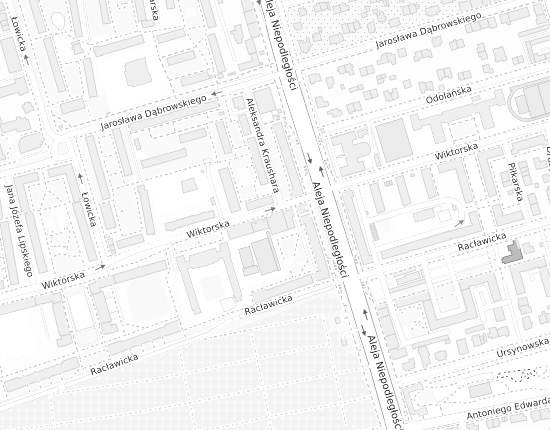 Mapa z adresem organizacji