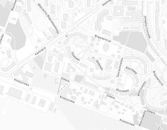 Mapa z adresem organizacji