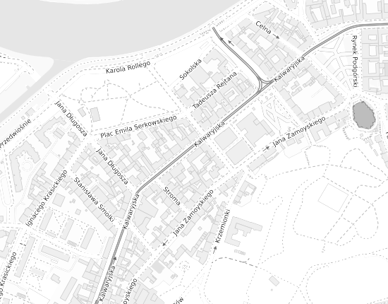 Mapa z adresem organizacji