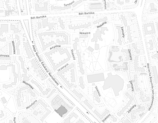 Mapa z adresem organizacji