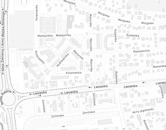 Mapa z adresem organizacji