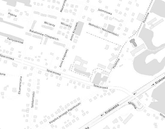 Mapa z adresem organizacji