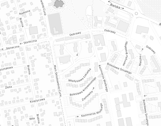 Mapa z adresem organizacji