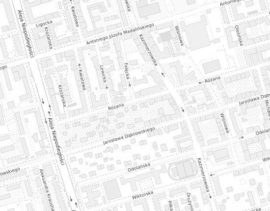 Mapa z adresem organizacji