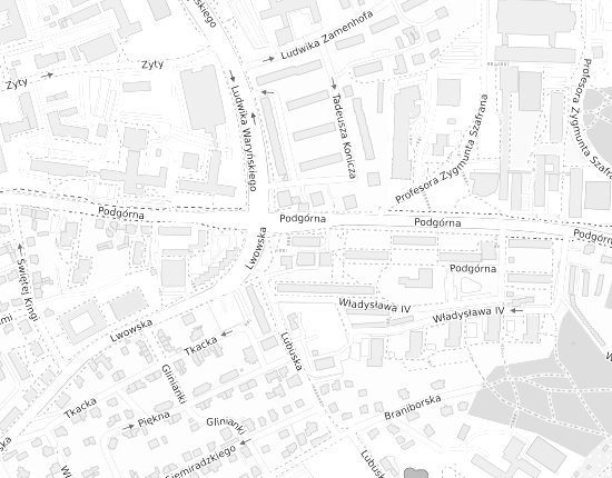 Mapa z adresem organizacji