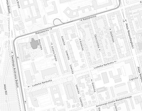 Mapa z adresem organizacji