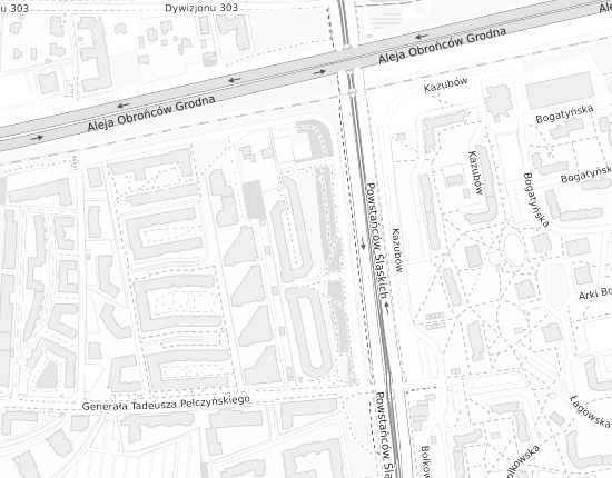 Mapa z adresem organizacji