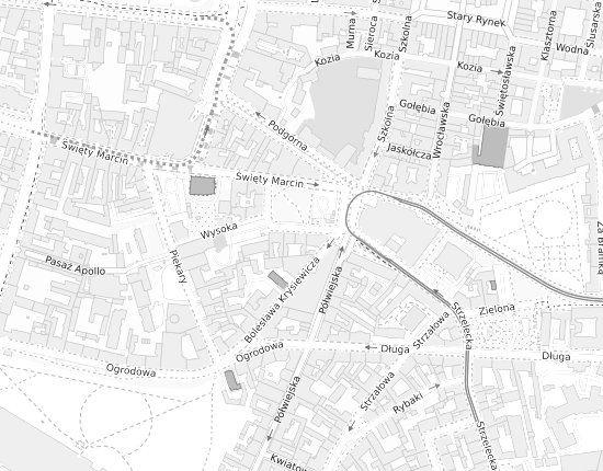 Mapa z adresem organizacji