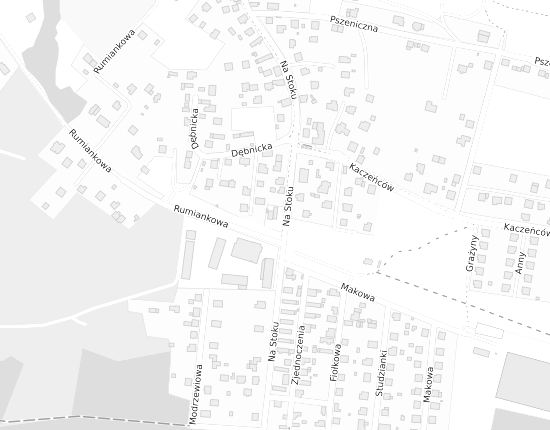 Mapa z adresem organizacji