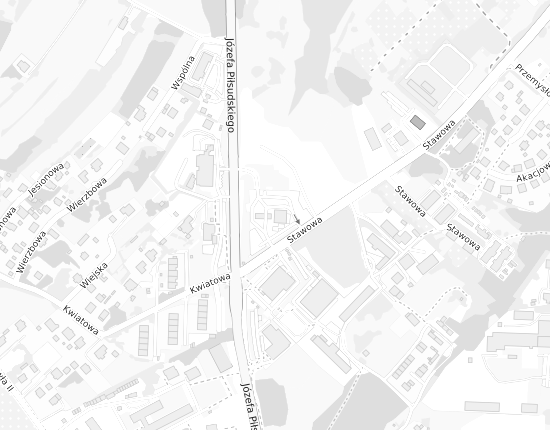Mapa z adresem organizacji
