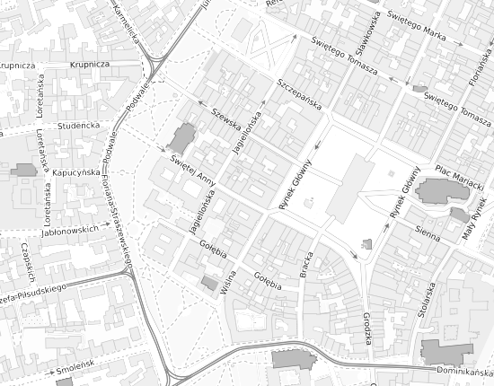 Mapa z adresem organizacji