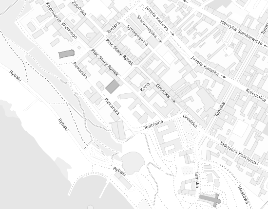 Mapa z adresem organizacji