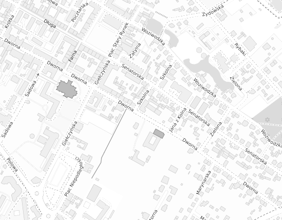 Mapa z adresem organizacji