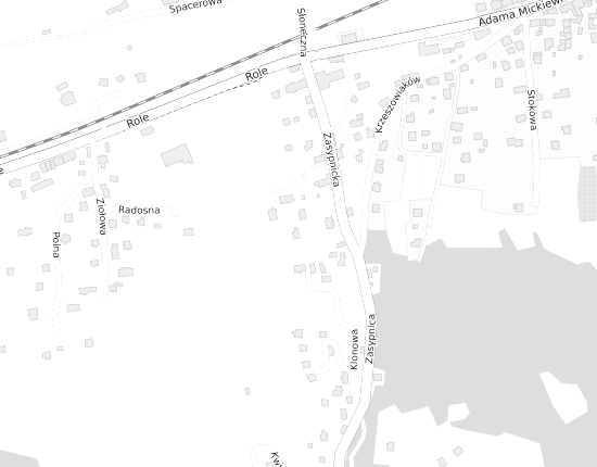 Mapa z adresem organizacji