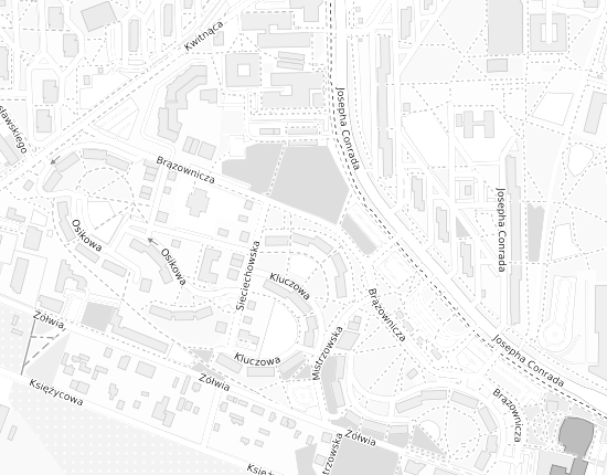Mapa z adresem organizacji