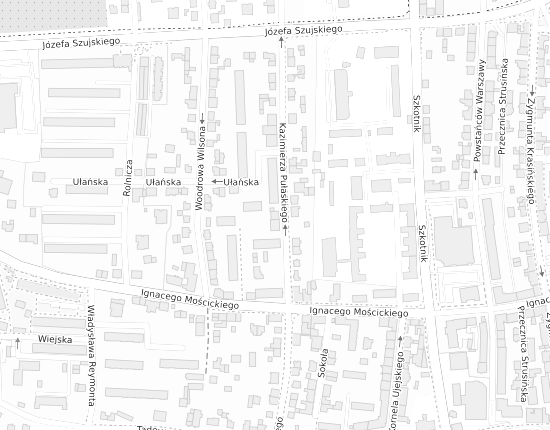 Mapa z adresem organizacji