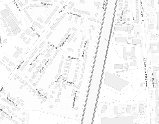 Mapa z adresem organizacji