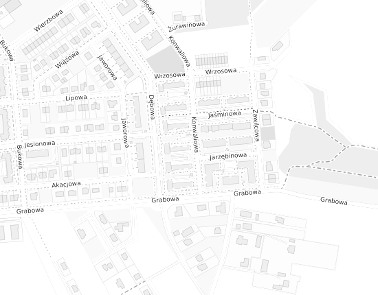 Mapa z adresem organizacji
