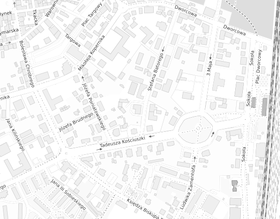 Mapa z adresem organizacji