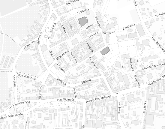 Mapa z adresem organizacji