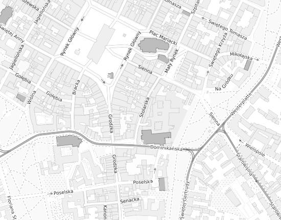 Mapa z adresem organizacji
