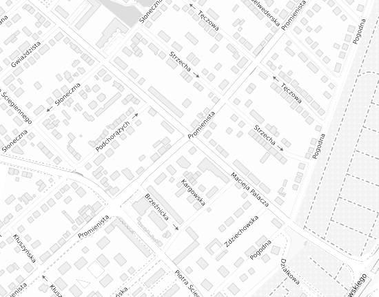 Mapa z adresem organizacji