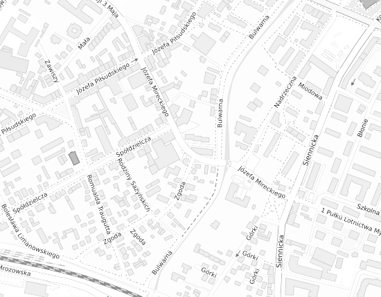Mapa z adresem organizacji