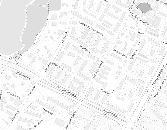 Mapa z adresem organizacji