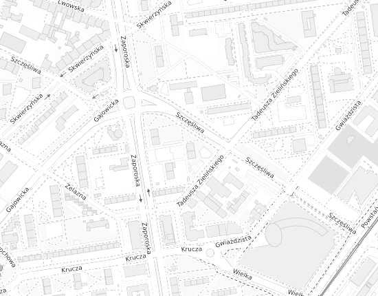 Mapa z adresem organizacji