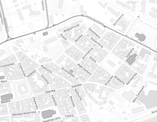 Mapa z adresem organizacji