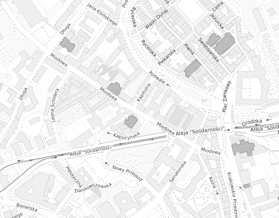 Mapa z adresem organizacji
