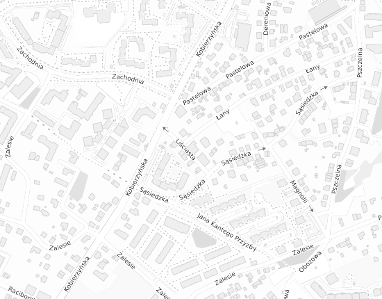 Mapa z adresem organizacji