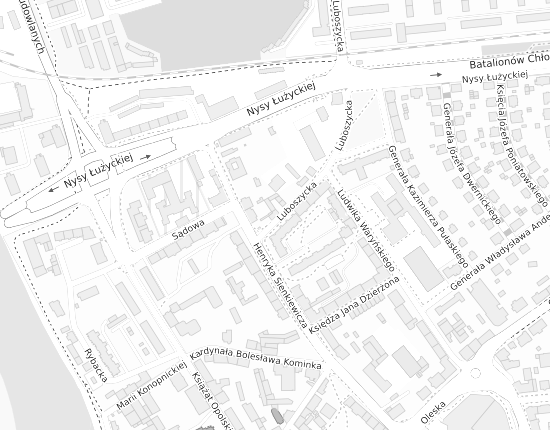 Mapa z adresem organizacji