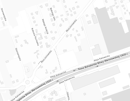 Mapa z adresem organizacji