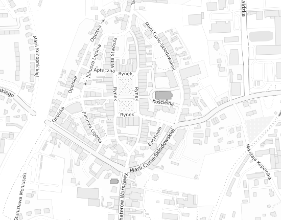 Mapa z adresem organizacji
