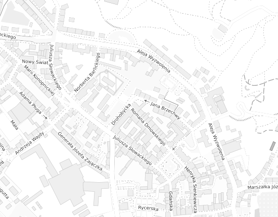 Mapa z adresem organizacji