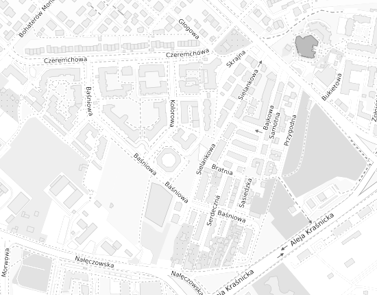 Mapa z adresem organizacji