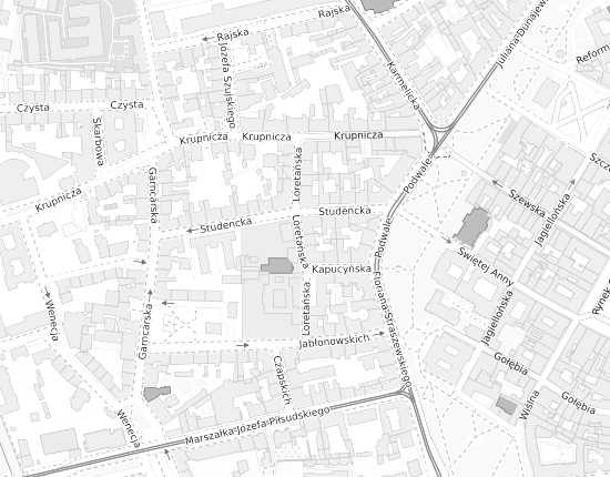 Mapa z adresem organizacji