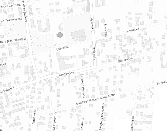 Mapa z adresem organizacji