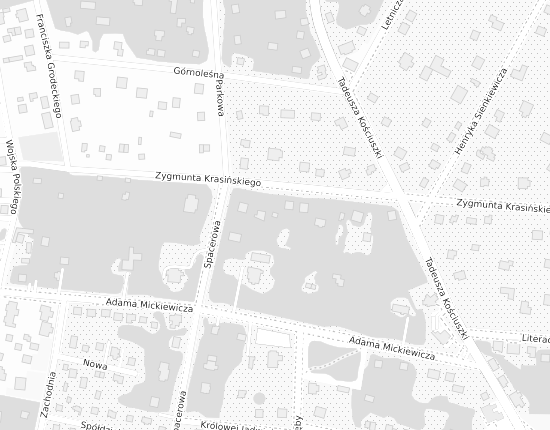 Mapa z adresem organizacji