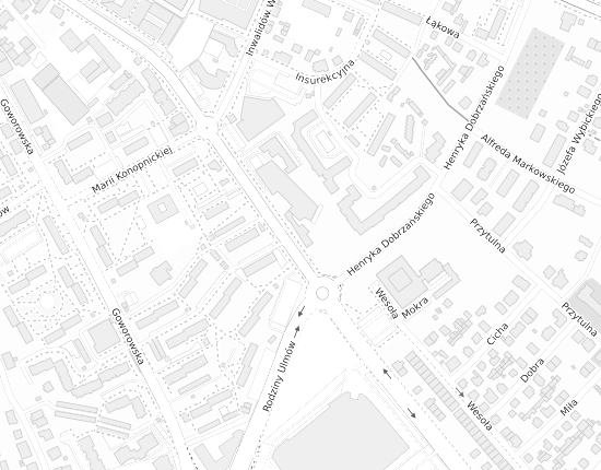 Mapa z adresem organizacji