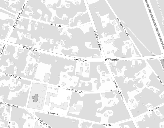 Mapa z adresem organizacji