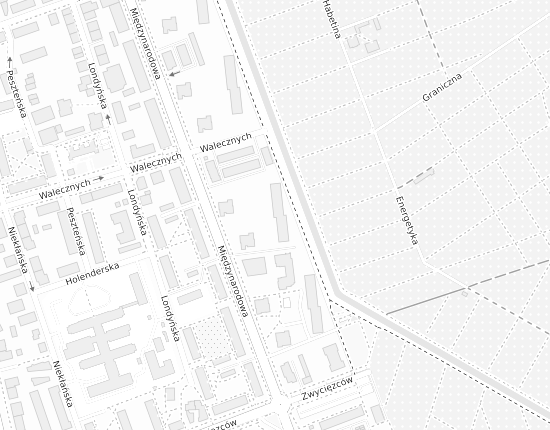 Mapa z adresem organizacji
