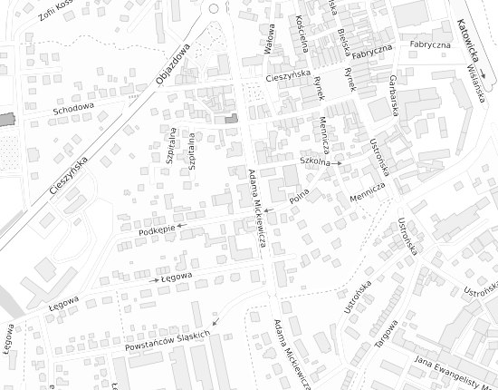 Mapa z adresem organizacji