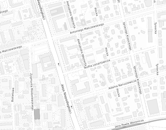Mapa z adresem organizacji