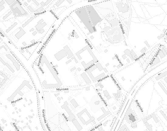 Mapa z adresem organizacji