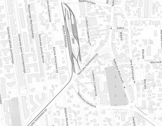 Mapa z adresem organizacji