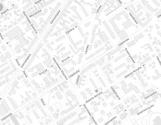 Mapa z adresem organizacji