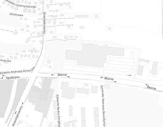 Mapa z adresem organizacji